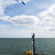 Image for article titled Sailing Kite Saves 30% Fuel, Makes Whales and Dolphins Happy